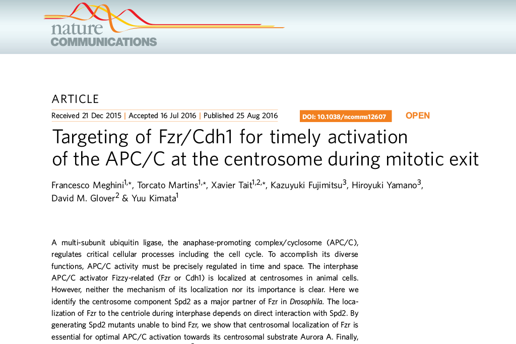 korrekt bypass ødelagte Our Research Paper in Nature Communications – Kimata Lab 木全研究组